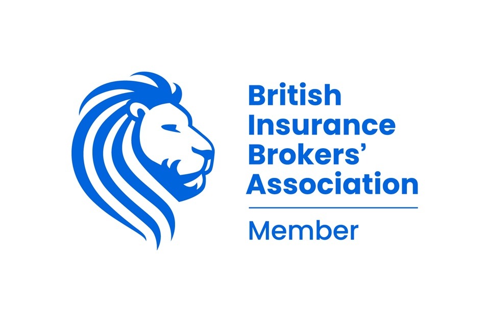 BIBA_Member_logo_