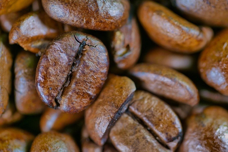 coffee shops