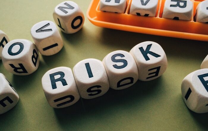 risk expert